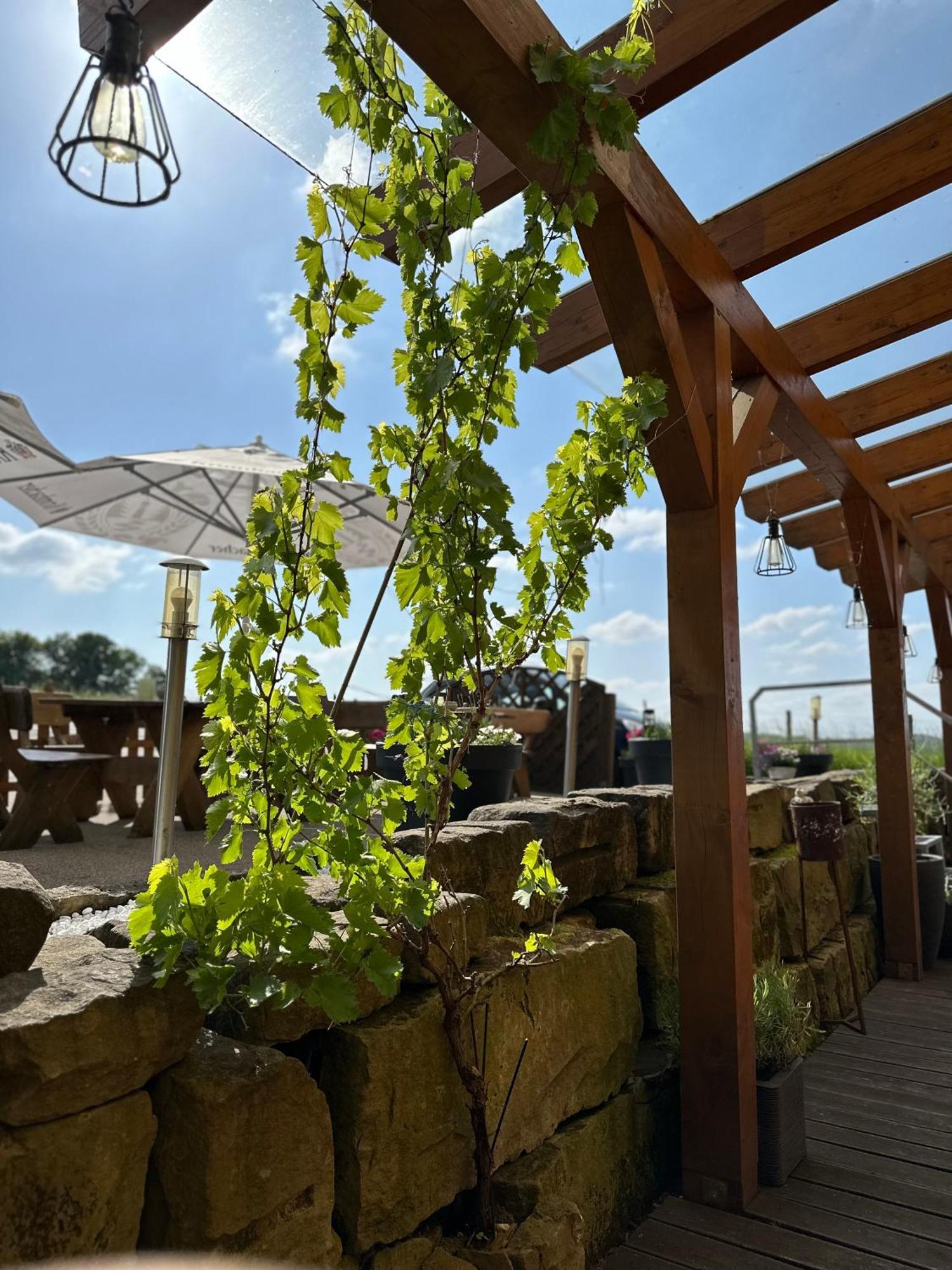 Haus Zum Noeckel Hotel Schalksmuhle Kültér fotó